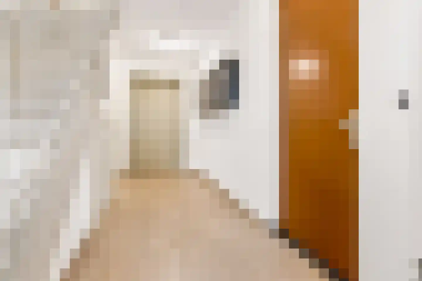 Rozeboomlaan 2 Zwolle thumbnail 5