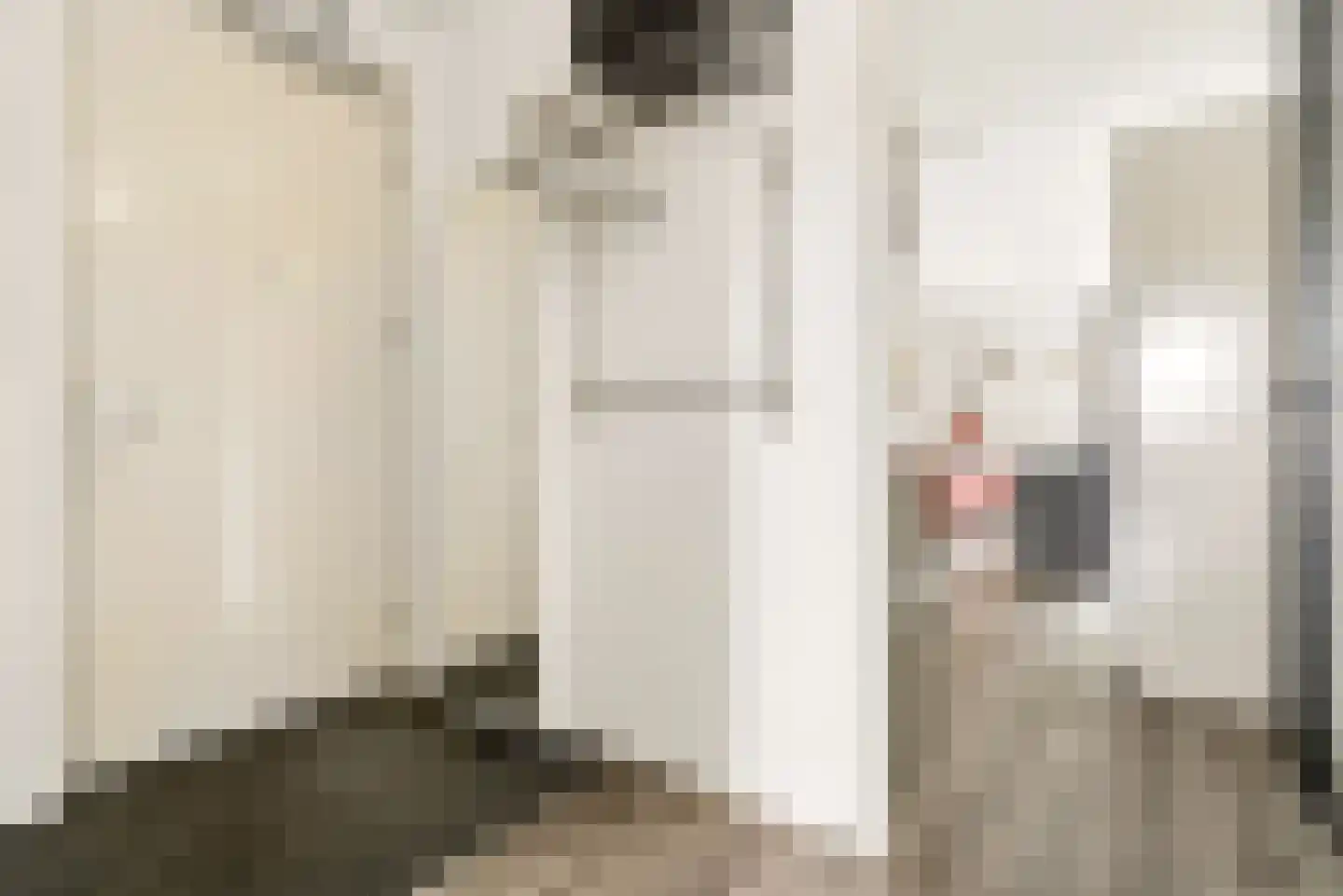 Rozeboomlaan 2 Zwolle thumbnail 7