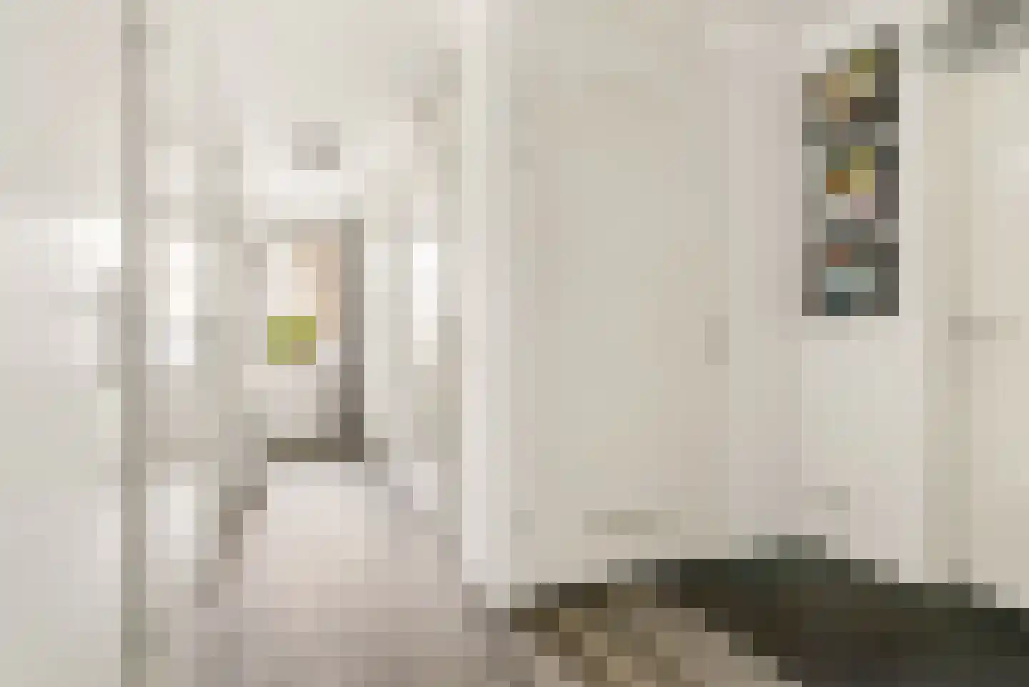 Rozeboomlaan 2 Zwolle thumbnail 8