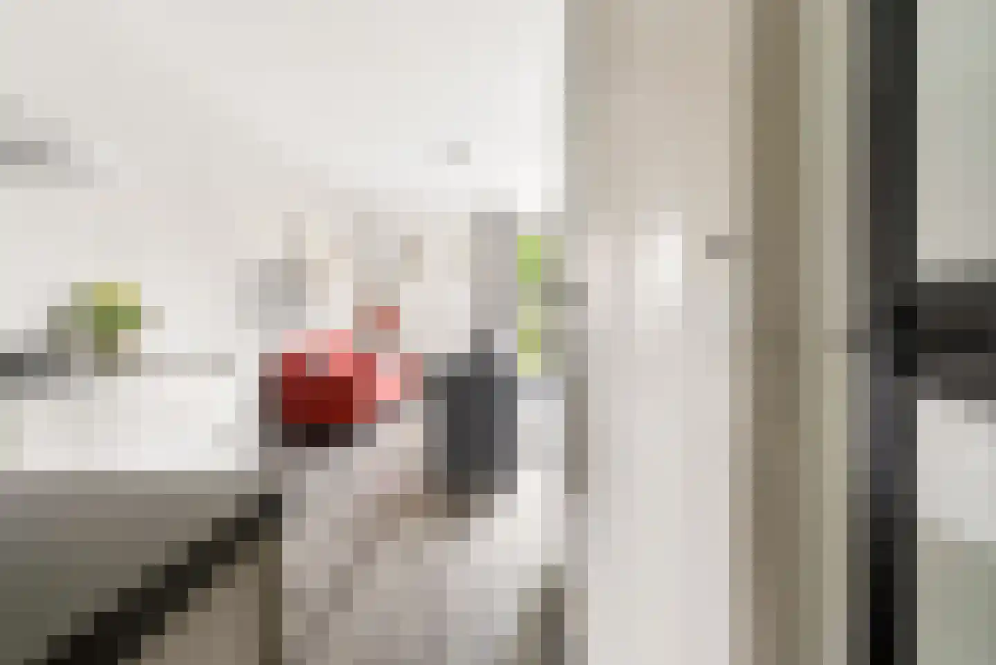 Rozeboomlaan 2 Zwolle thumbnail 9