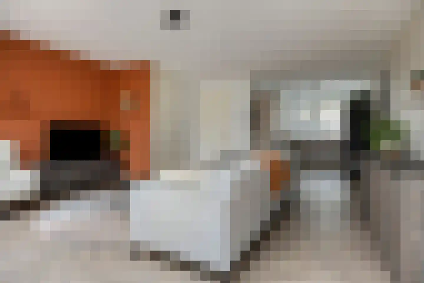 Rozeboomlaan 36 Zwolle thumbnail 14
