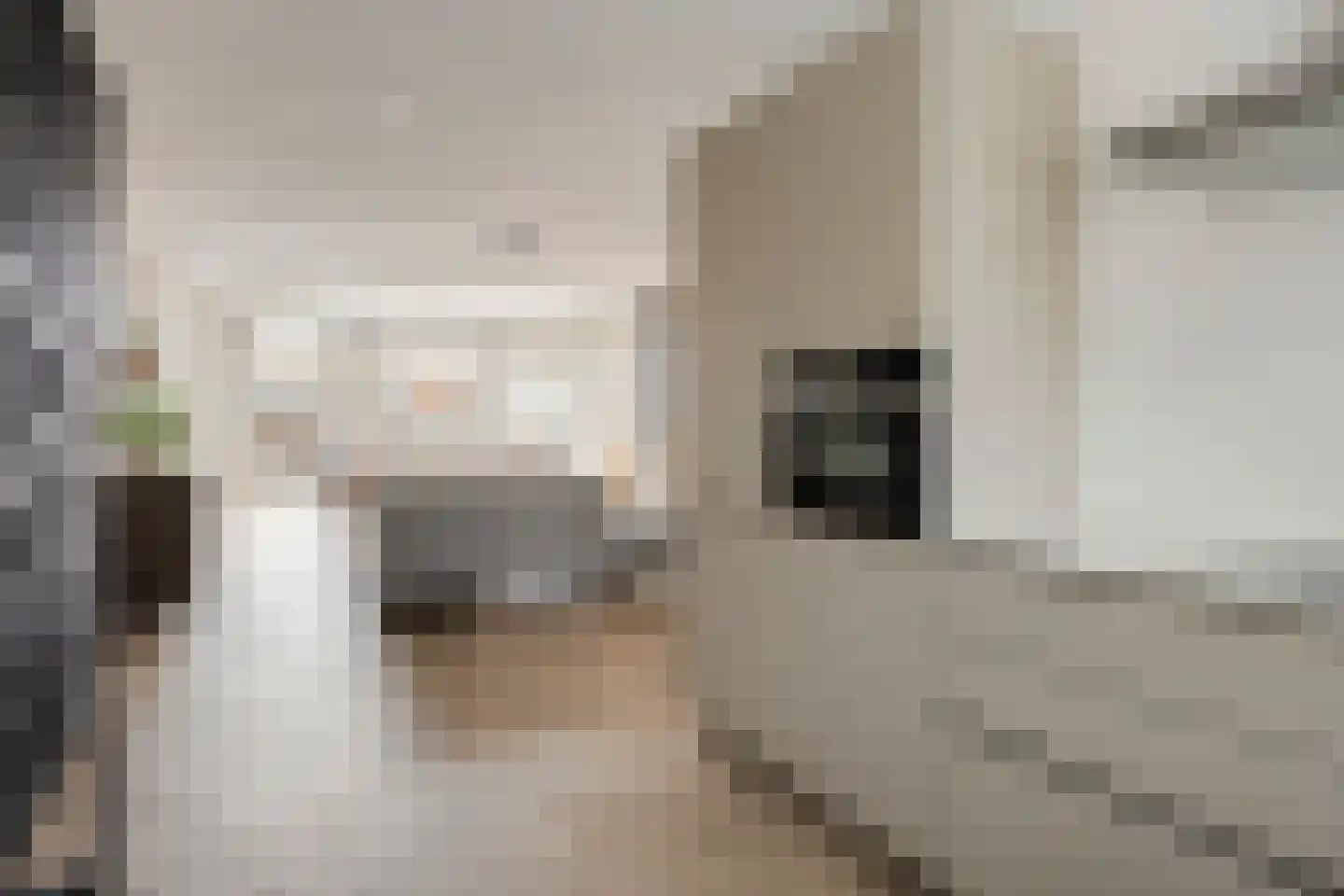Rozeboomlaan 36 Zwolle thumbnail 16