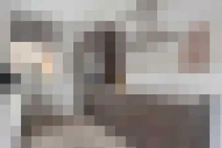 Rozeboomlaan 5 Zwolle thumbnail 12
