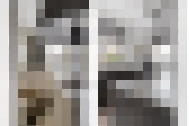 Rozeboomlaan 5 Zwolle thumbnail 13