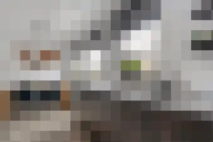 Rozeboomlaan 5 Zwolle thumbnail 14