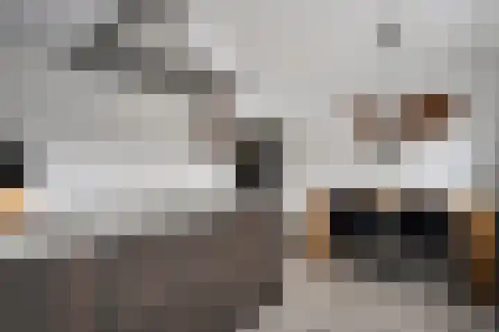 Rozeboomlaan 5 Zwolle thumbnail 16