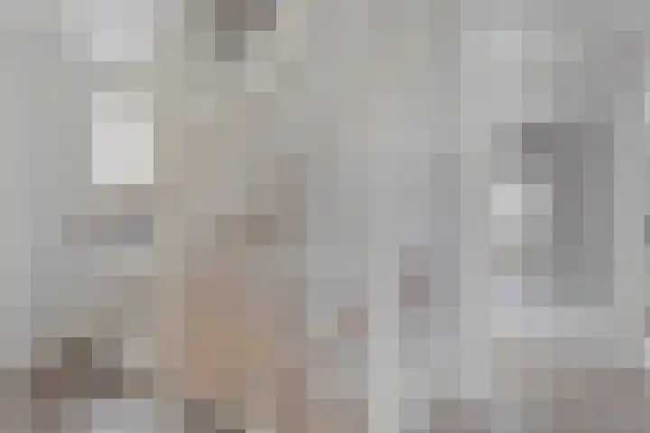 Rozeboomlaan 5 Zwolle thumbnail 30