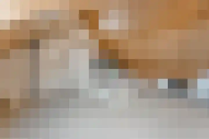Rozeboomlaan 5 Zwolle thumbnail 31