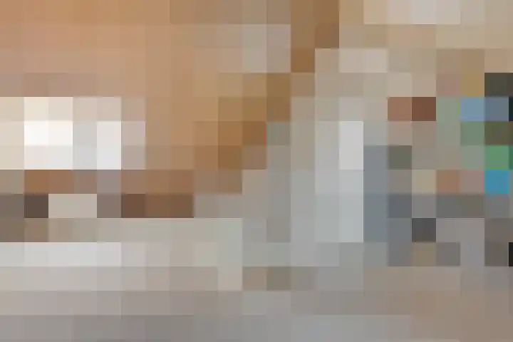 Rozeboomlaan 5 Zwolle thumbnail 32