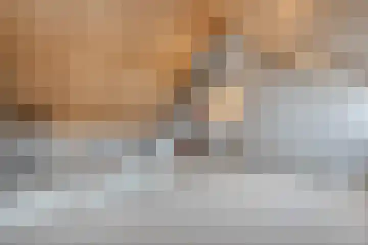 Rozeboomlaan 5 Zwolle thumbnail 33
