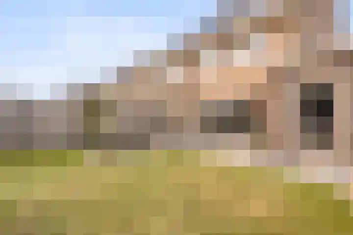 Rozeboomlaan 5 Zwolle thumbnail 34