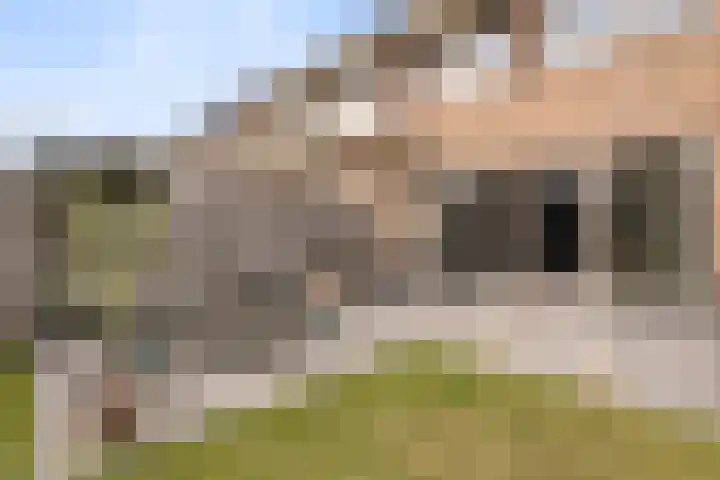 Rozeboomlaan 5 Zwolle thumbnail 36