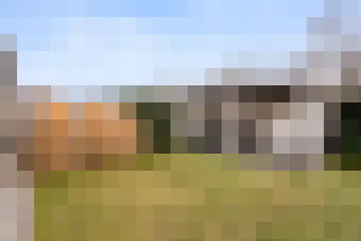 Rozeboomlaan 5 Zwolle thumbnail 37