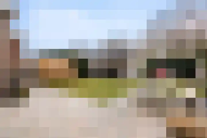Rozeboomlaan 5 Zwolle thumbnail 38