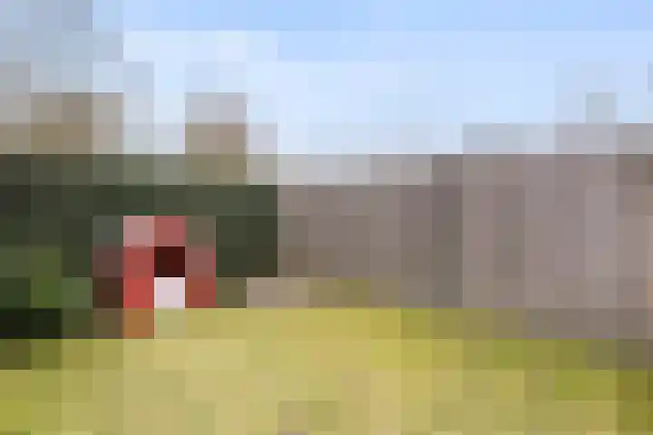 Rozeboomlaan 5 Zwolle thumbnail 39