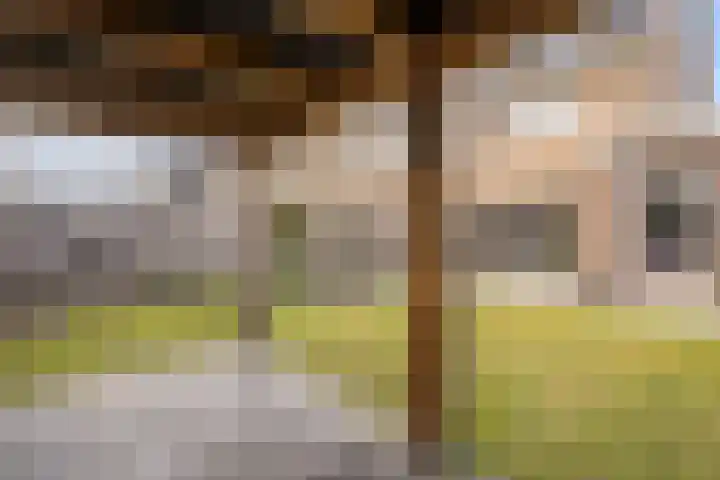 Rozeboomlaan 5 Zwolle thumbnail 40