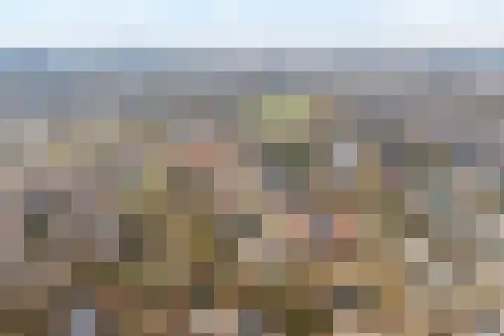 Rozeboomlaan 5 Zwolle thumbnail 49