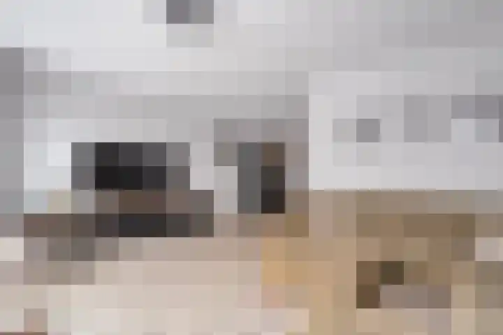 Rozeboomlaan 5 Zwolle thumbnail 5