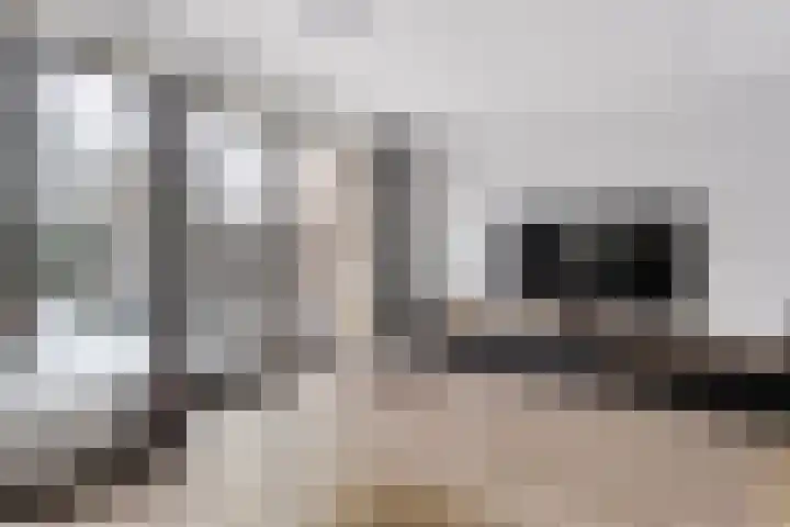 Rozeboomlaan 5 Zwolle thumbnail 6