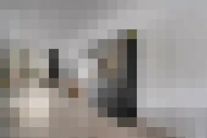 Rozeboomlaan 5 Zwolle thumbnail 8