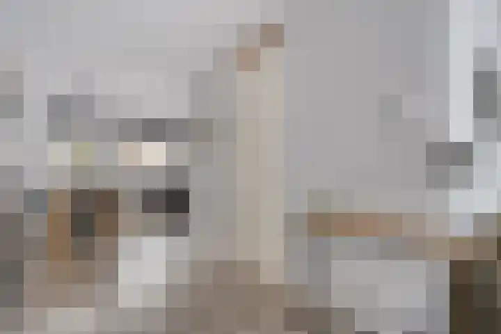 Rozeboomlaan 5 Zwolle thumbnail 9