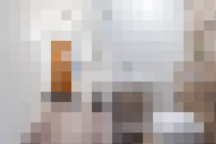 Rozeboomlaan 64 Zwolle thumbnail 10