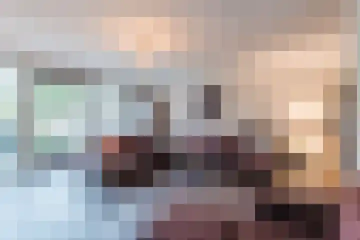Rozeboomlaan 64 Zwolle thumbnail 11