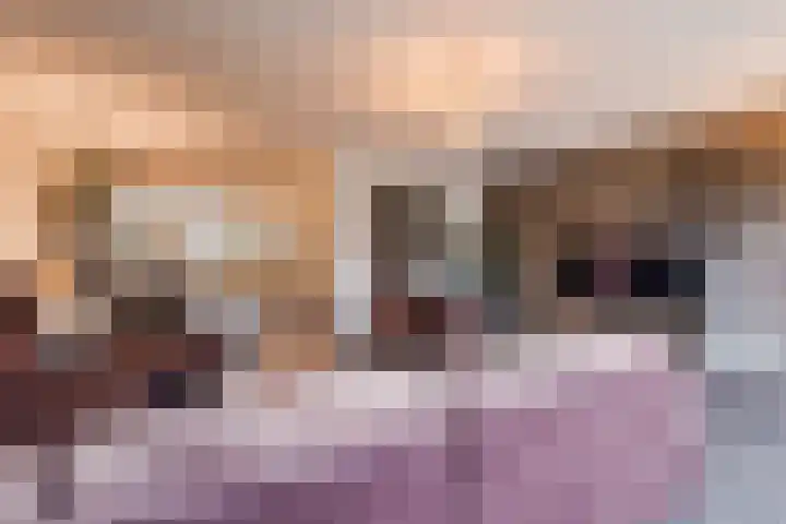 Rozeboomlaan 64 Zwolle thumbnail 13