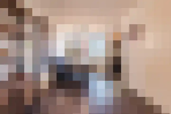 Rozeboomlaan 64 Zwolle thumbnail 14