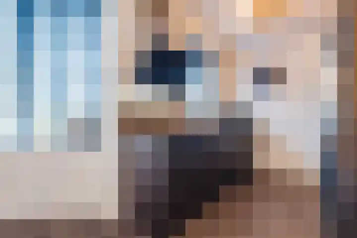 Rozeboomlaan 64 Zwolle thumbnail 17