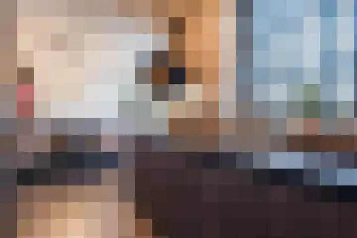 Rozeboomlaan 64 Zwolle thumbnail 18