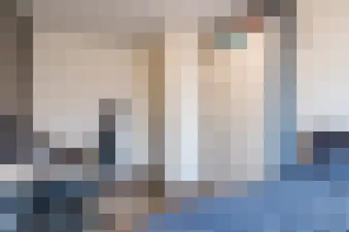 Rozeboomlaan 64 Zwolle thumbnail 30