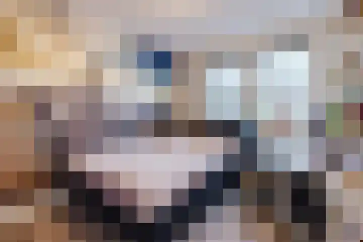 Rozeboomlaan 64 Zwolle thumbnail 31