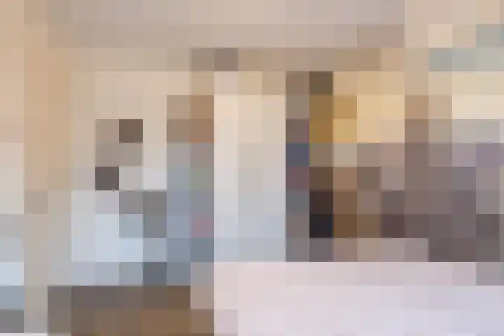 Rozeboomlaan 64 Zwolle thumbnail 33
