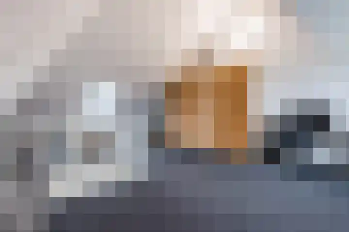 Rozeboomlaan 64 Zwolle thumbnail 4