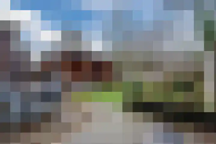 Rozeboomlaan 64 Zwolle thumbnail 40
