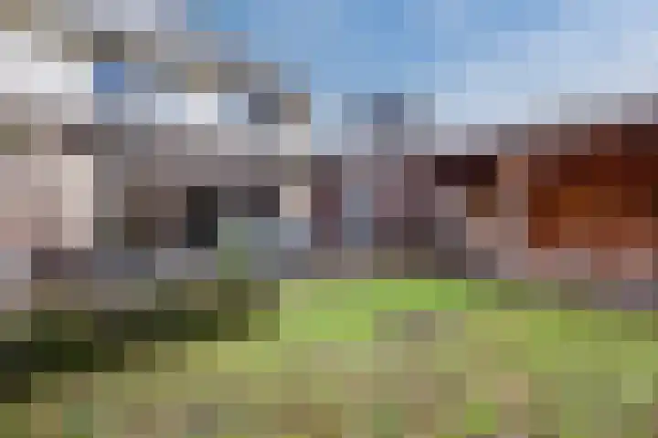 Rozeboomlaan 64 Zwolle thumbnail 41