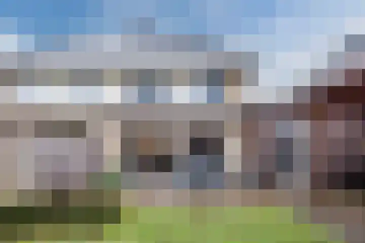 Rozeboomlaan 64 Zwolle thumbnail 42