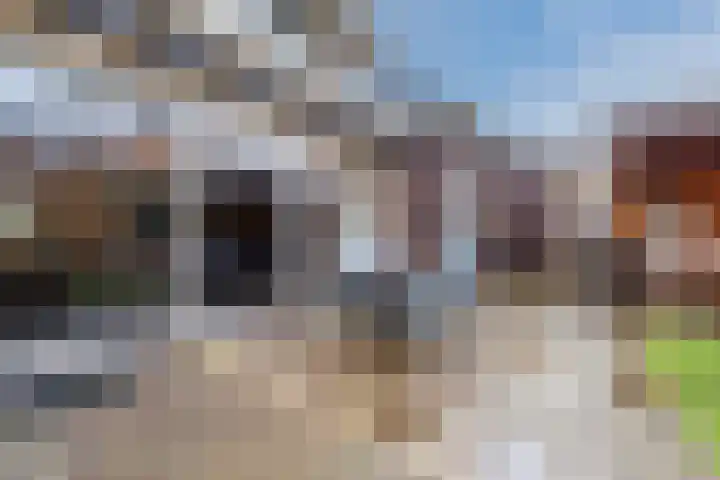 Rozeboomlaan 64 Zwolle thumbnail 43