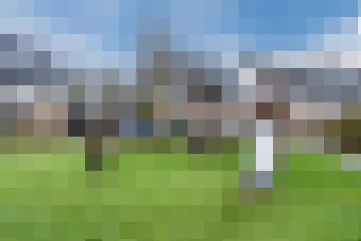 Rozeboomlaan 64 Zwolle thumbnail 45