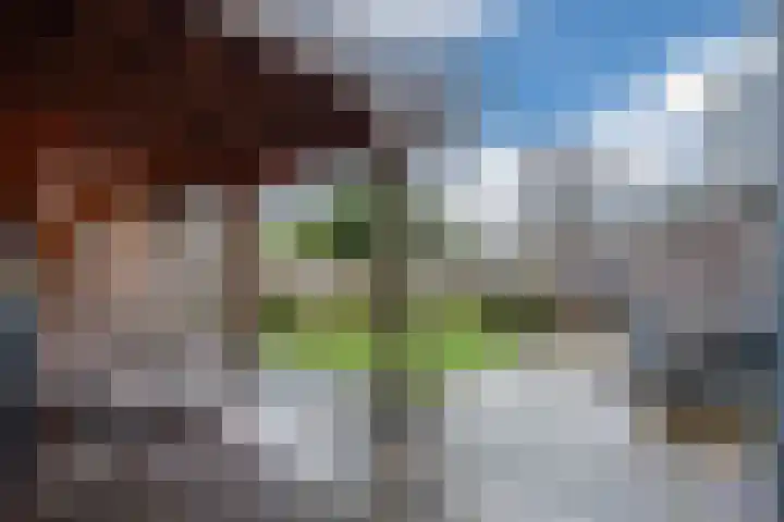 Rozeboomlaan 64 Zwolle thumbnail 5