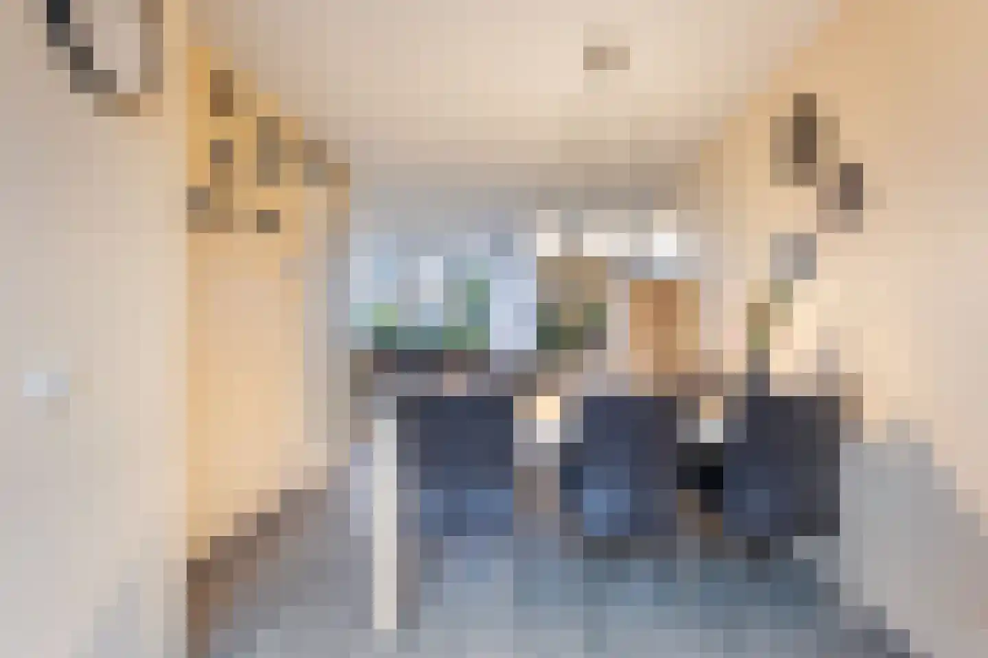 Rozebottellaan 19 Apeldoorn thumbnail 10