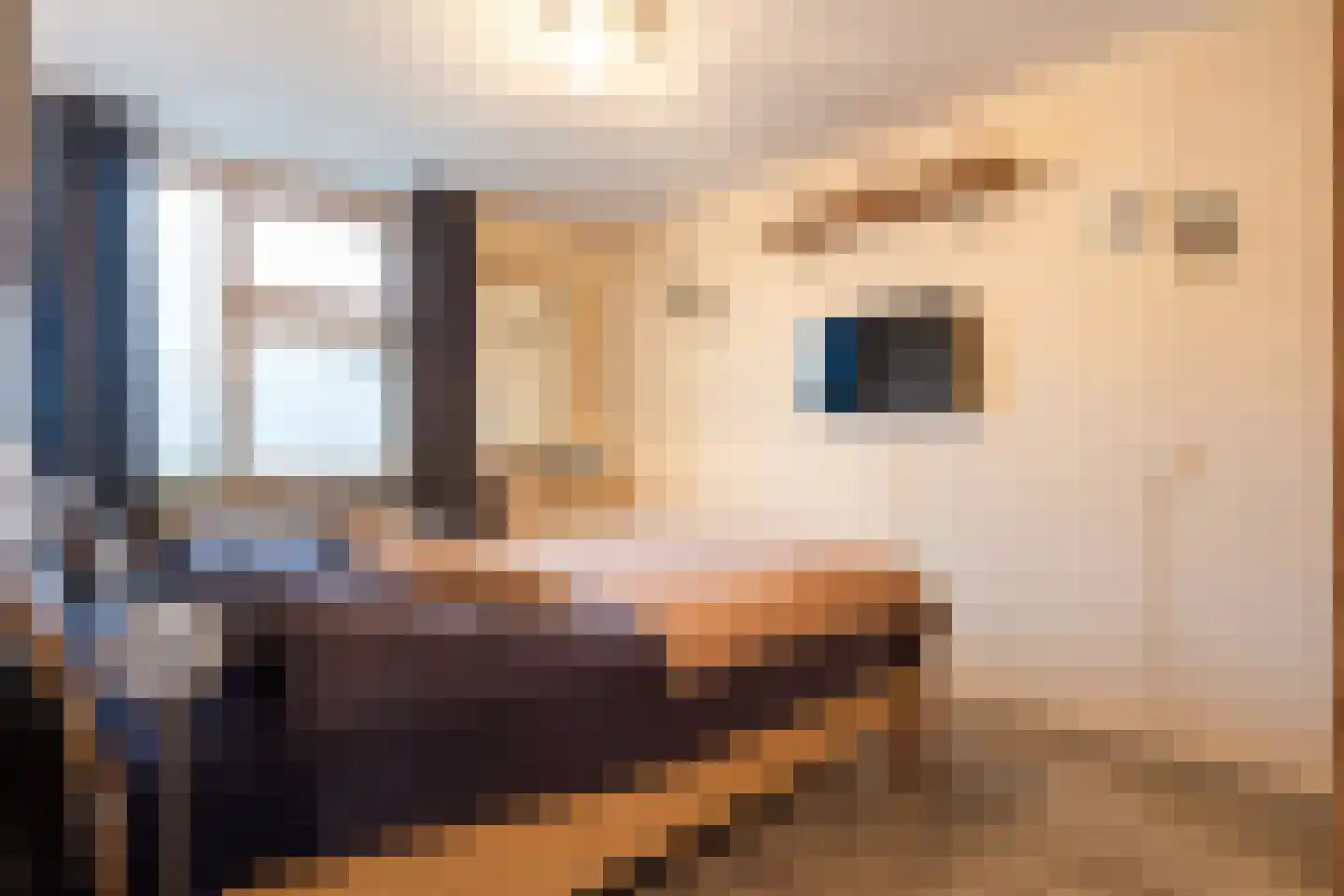 Rozebottellaan 19 Apeldoorn thumbnail 14
