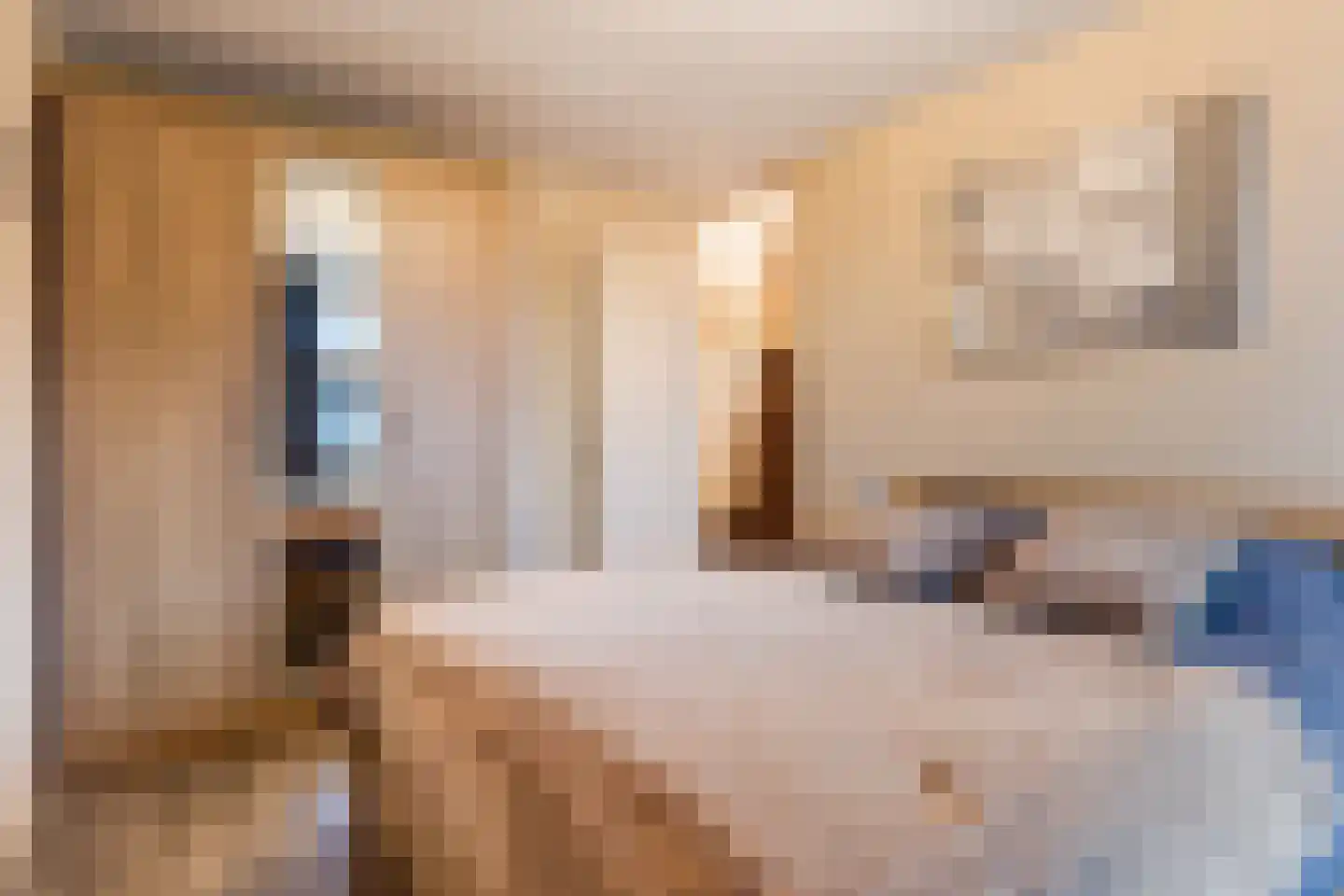 Rozebottellaan 19 Apeldoorn thumbnail 15