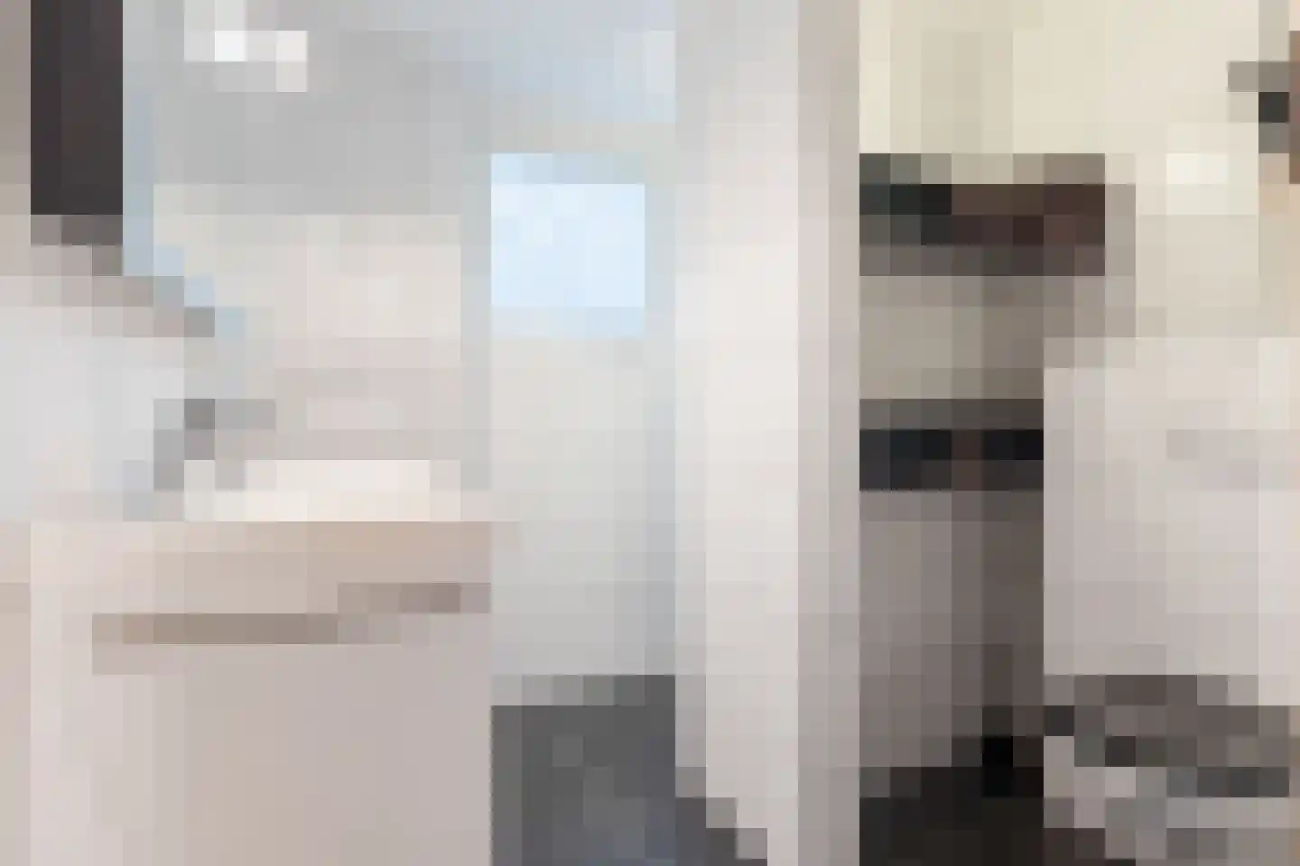 Rozebottellaan 19 Apeldoorn thumbnail 16