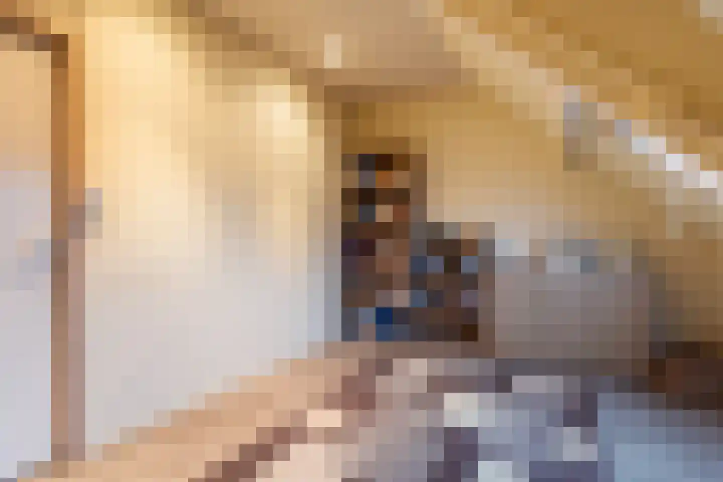 Rozebottellaan 19 Apeldoorn thumbnail 23