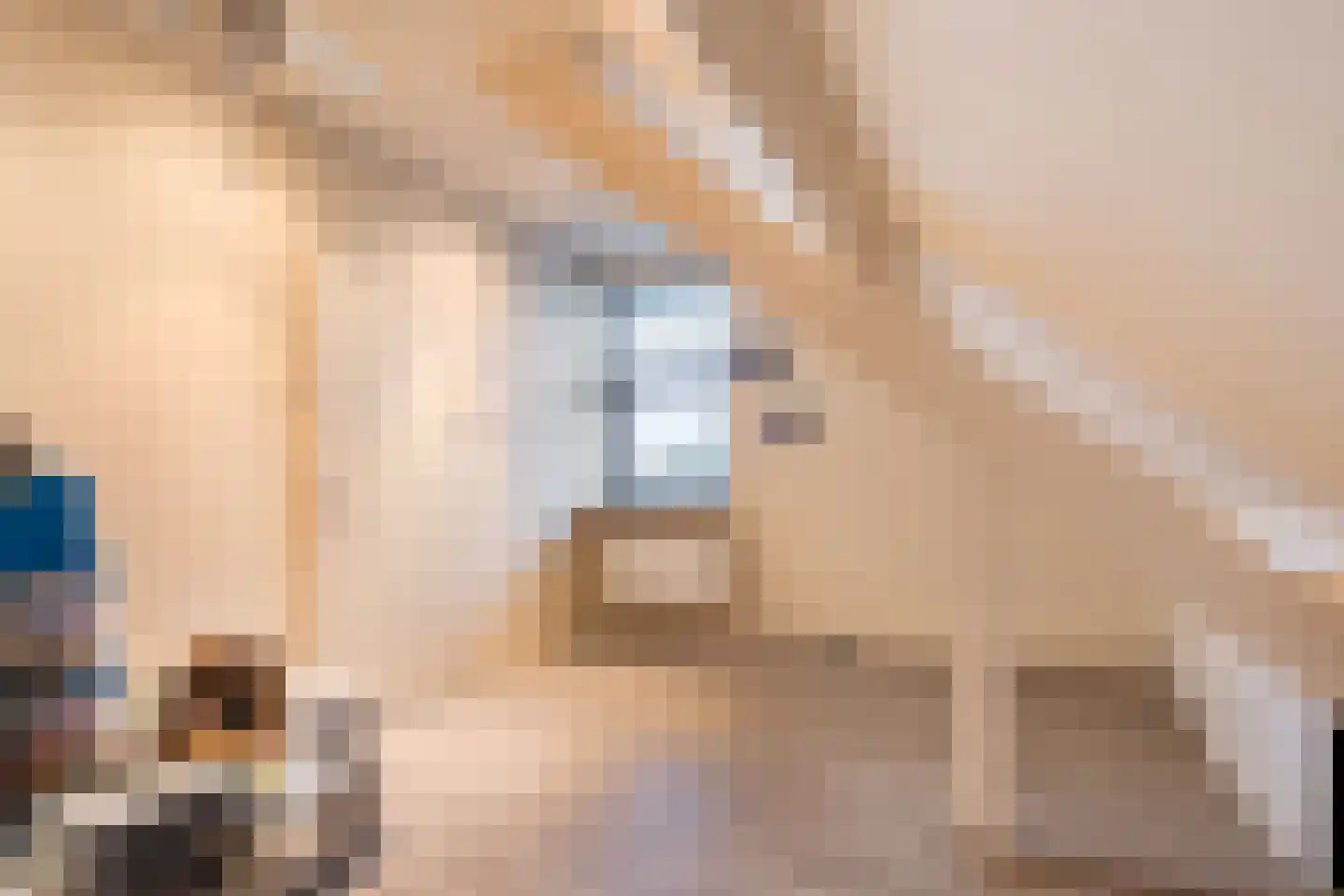 Rozebottellaan 19 Apeldoorn thumbnail 24