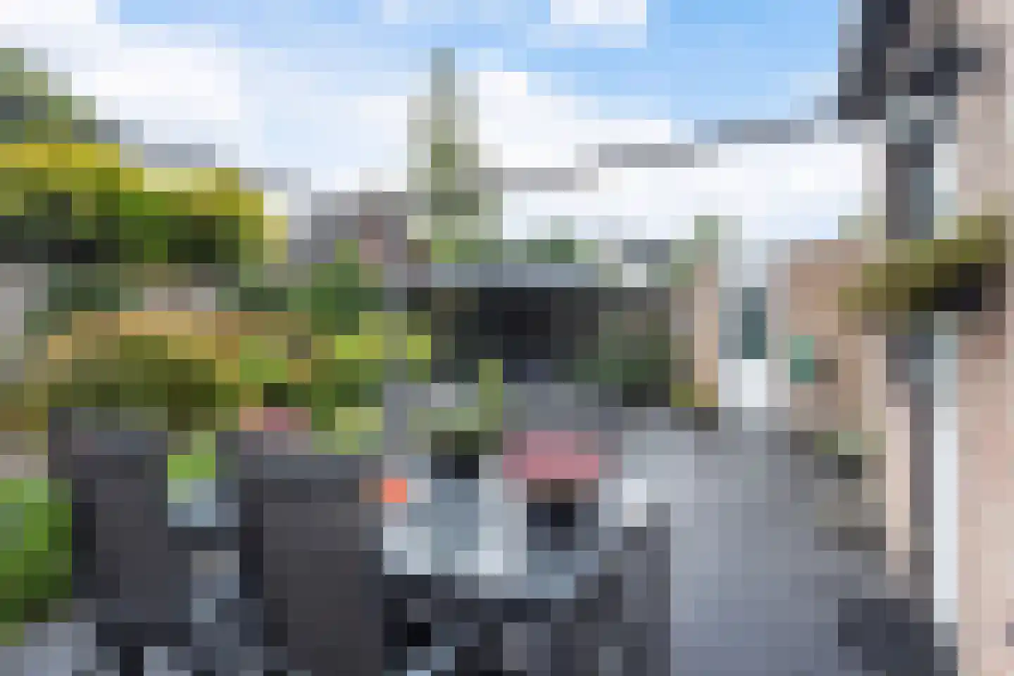 Rozebottellaan 19 Apeldoorn thumbnail 25
