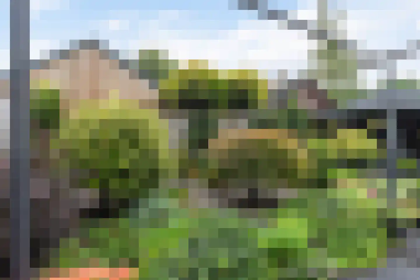 Rozebottellaan 19 Apeldoorn thumbnail 26