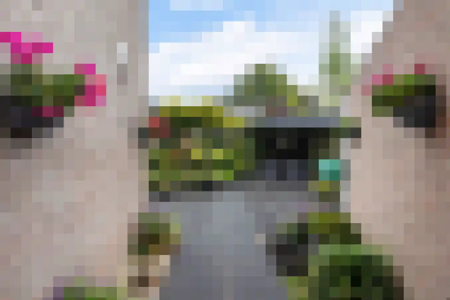 Rozebottellaan 19 Apeldoorn thumbnail 30